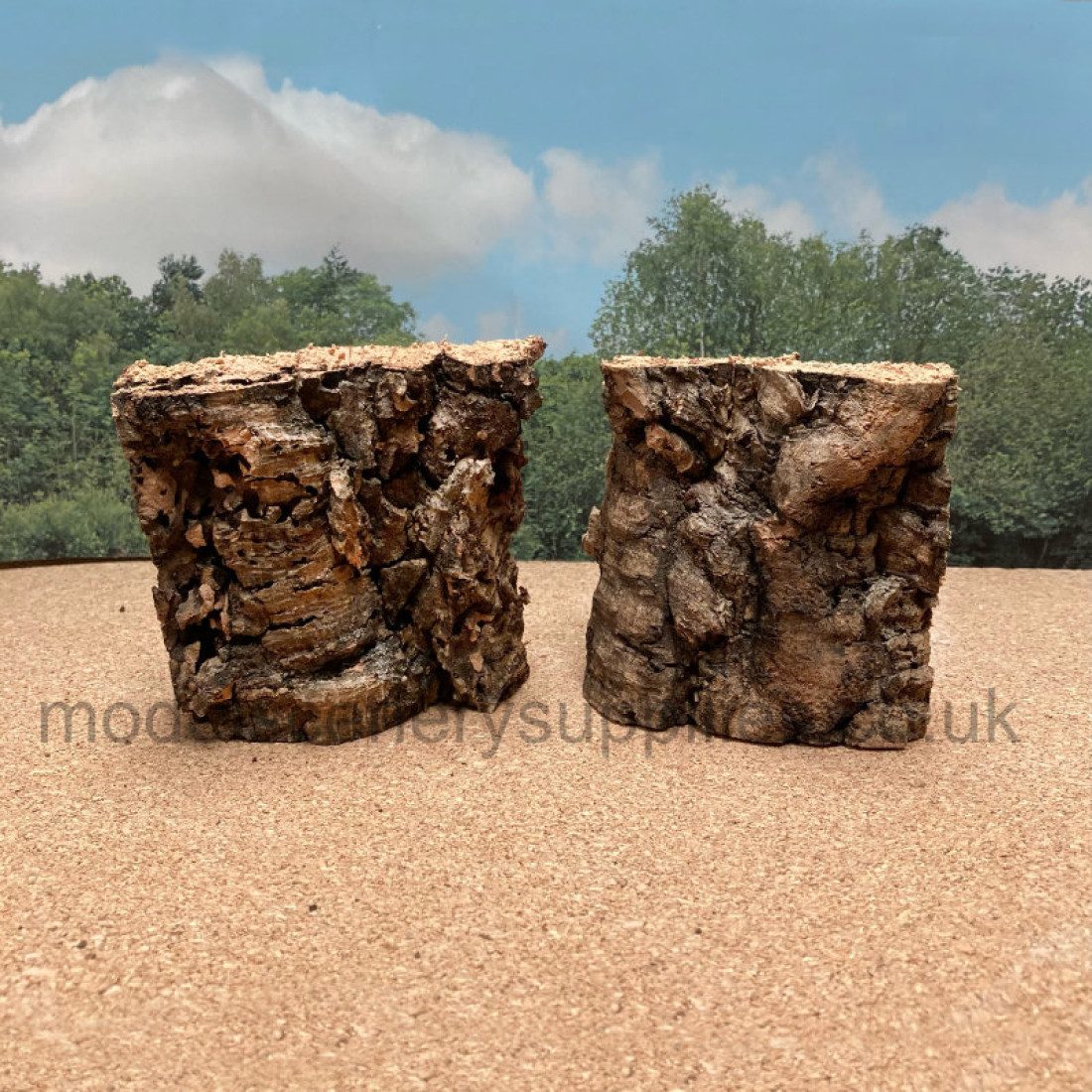 Standard Cork Bark Rock Face which has been prepared ready to use in